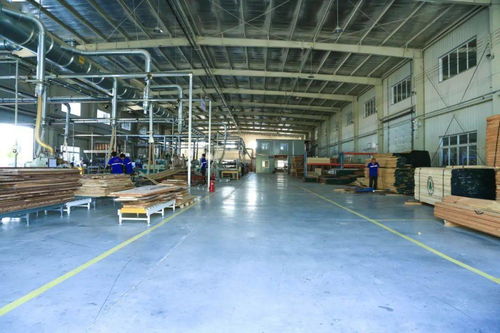 从手工到智能 良禽佳木工厂的技术变革之路