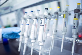 中源协和获血研所CAR-T独家技术转让，细胞治疗领域再添新翼